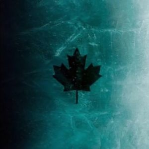 Meet your Posher, Wade